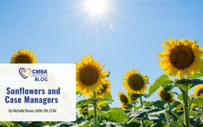 Sunflowers and Case Managers 