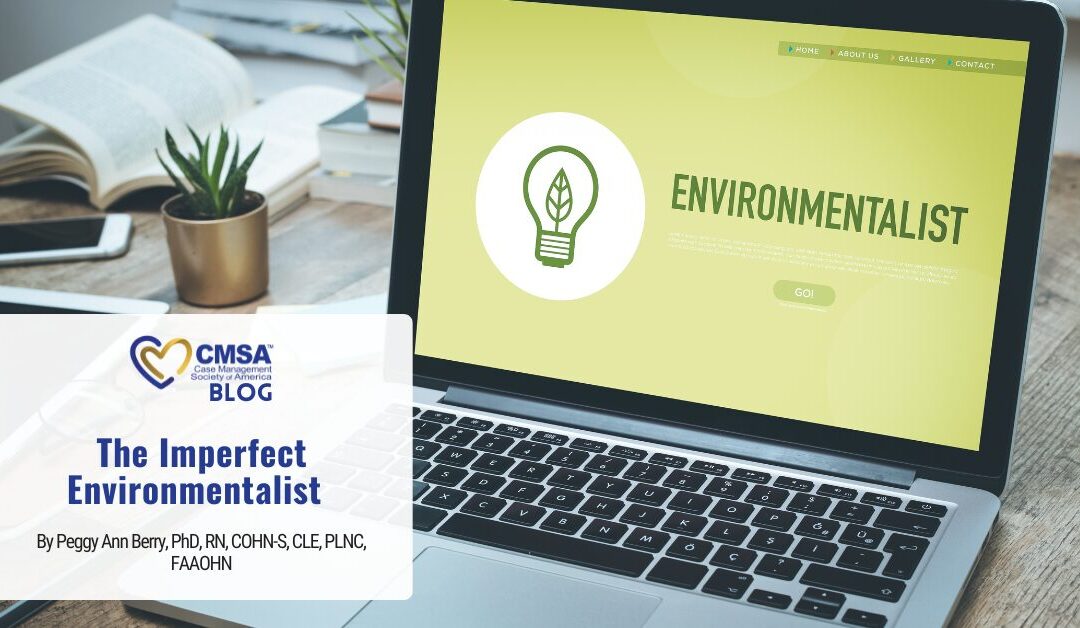 The Imperfect Environmentalist 