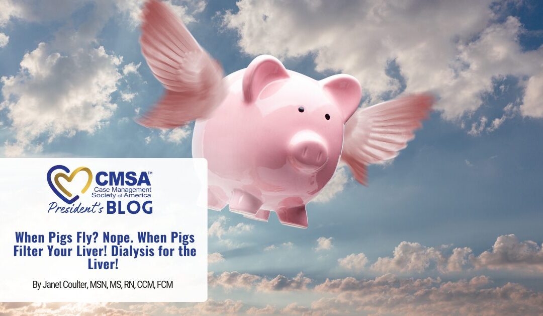 When Pigs Fly? Nope. When Pigs Filter Your Liver! Dialysis for the Liver! 