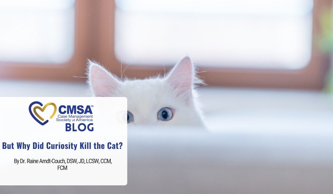 But Why Did Curiosity Kill the Cat? 