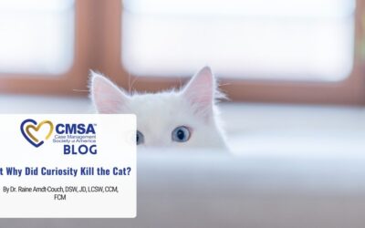 But Why Did Curiosity Kill the Cat? 